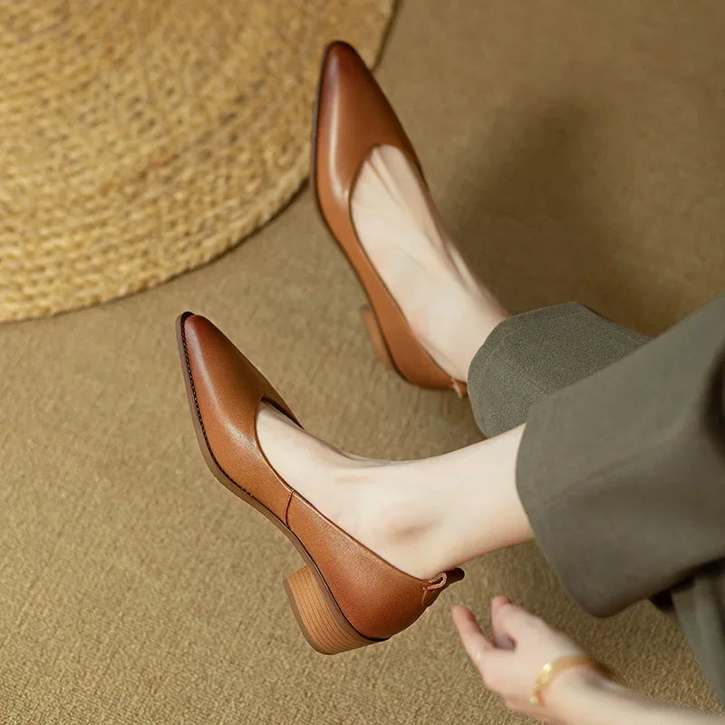 Pointed Toe Office Heel Pumps