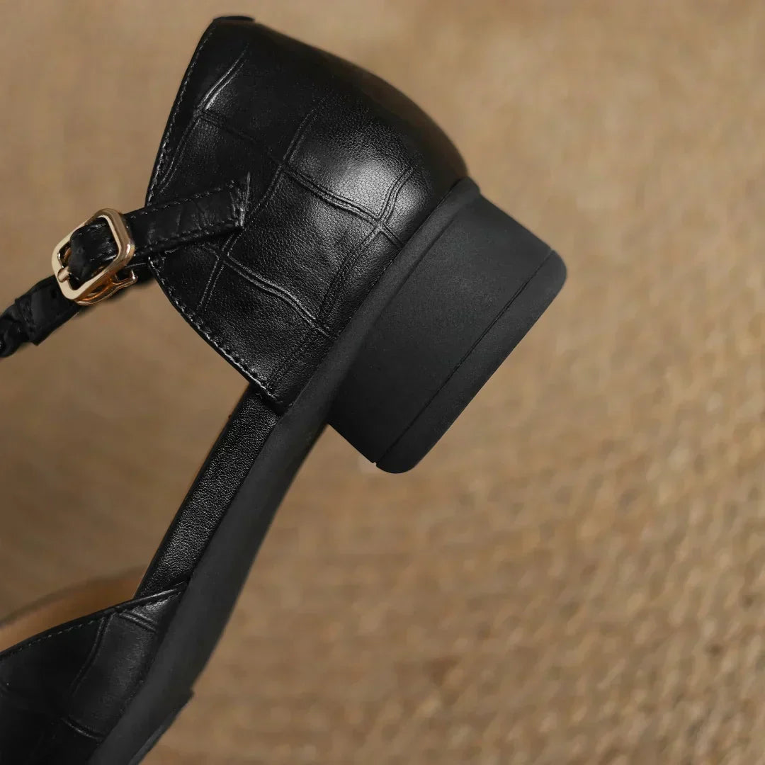 Pointed Toe Mary Jane Flats