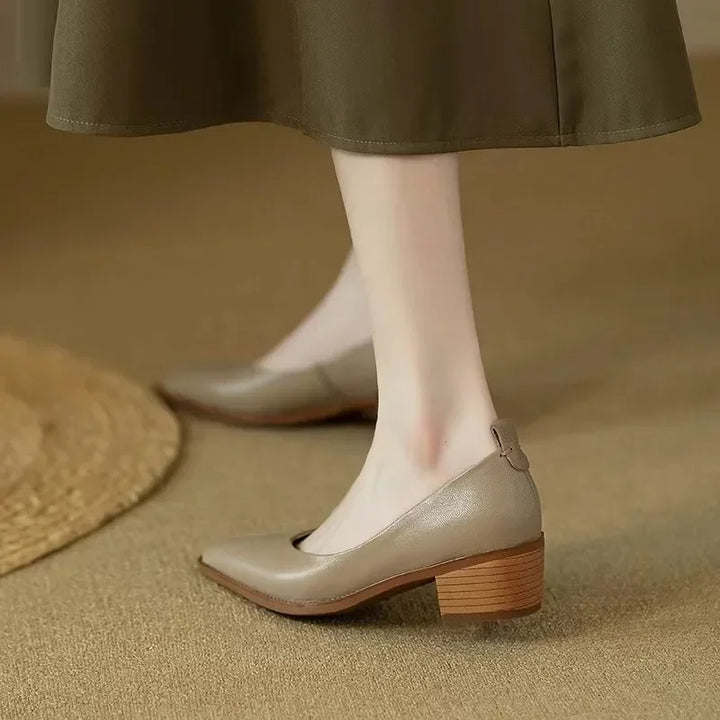 Pointed Toe Office Heel Pumps
