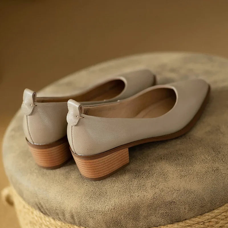 Pointed Toe Office Heel Pumps