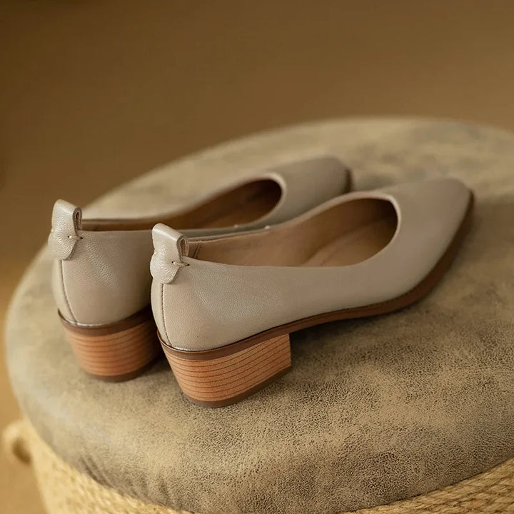 Pointed Toe Office Heel Pumps