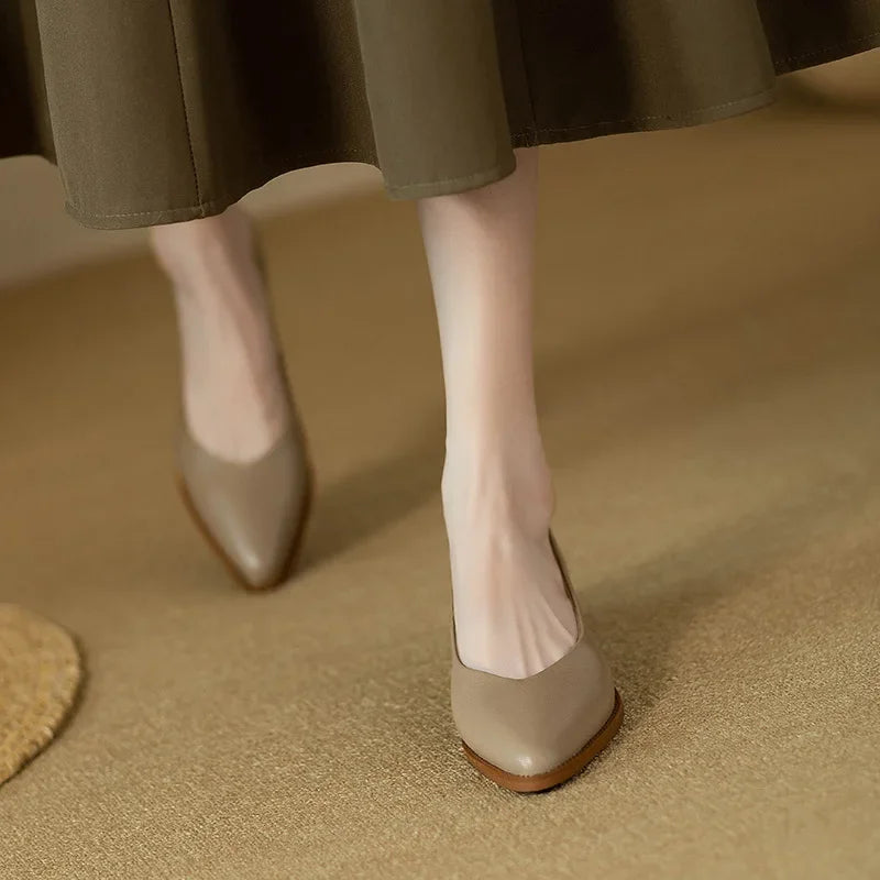 Pointed Toe Office Heel Pumps