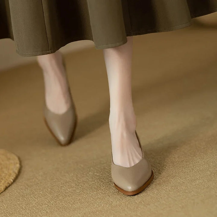 Pointed Toe Office Heel Pumps