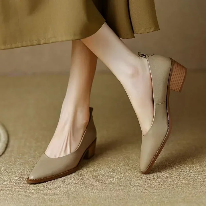 Pointed Toe Office Heel Pumps