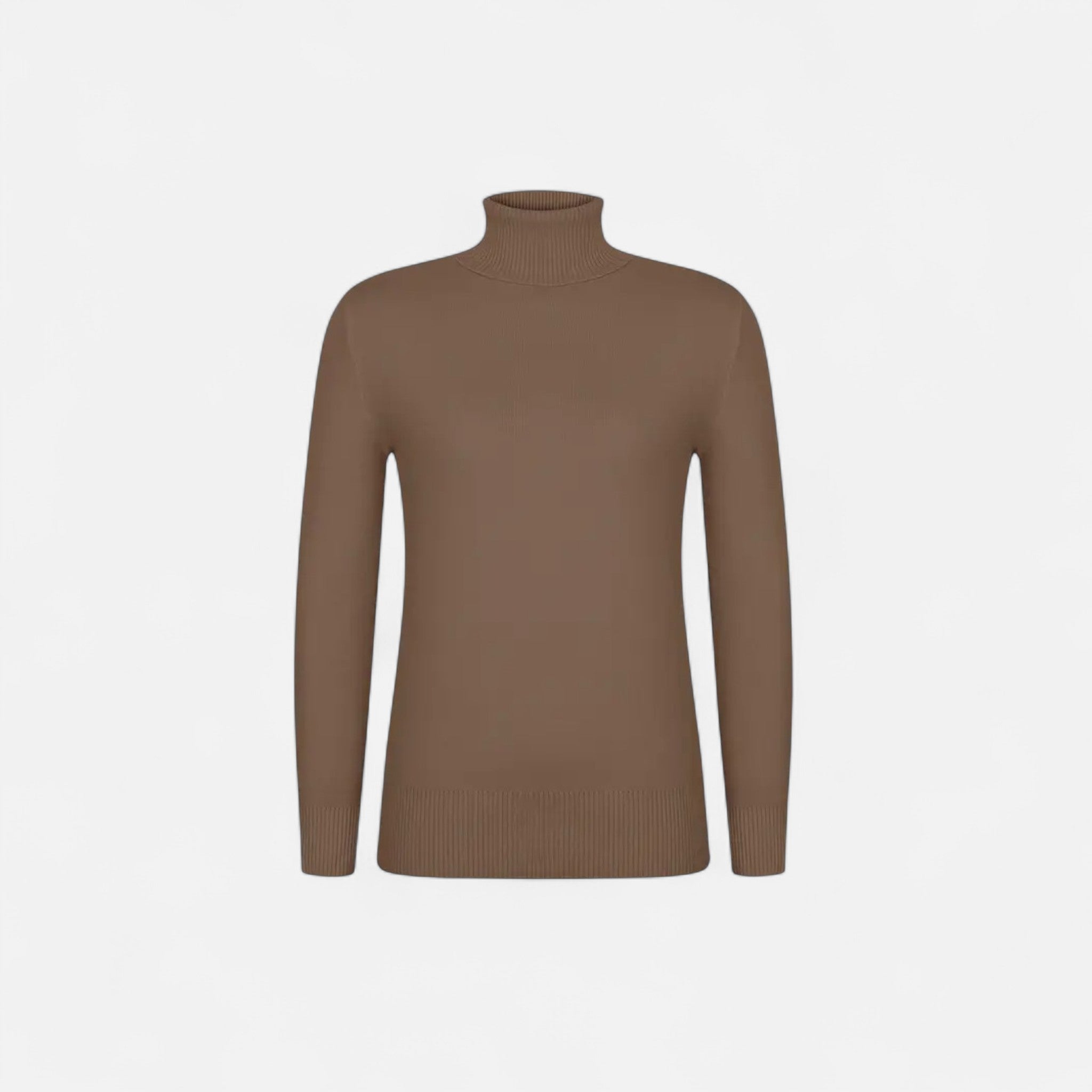 Women's Plush Turtleneck Sweater